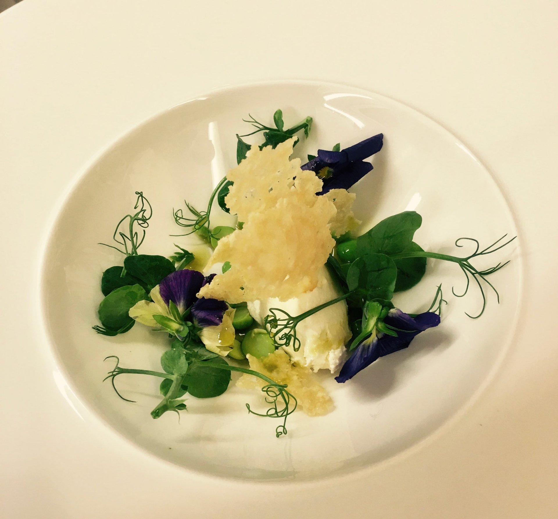 Private Chef Service